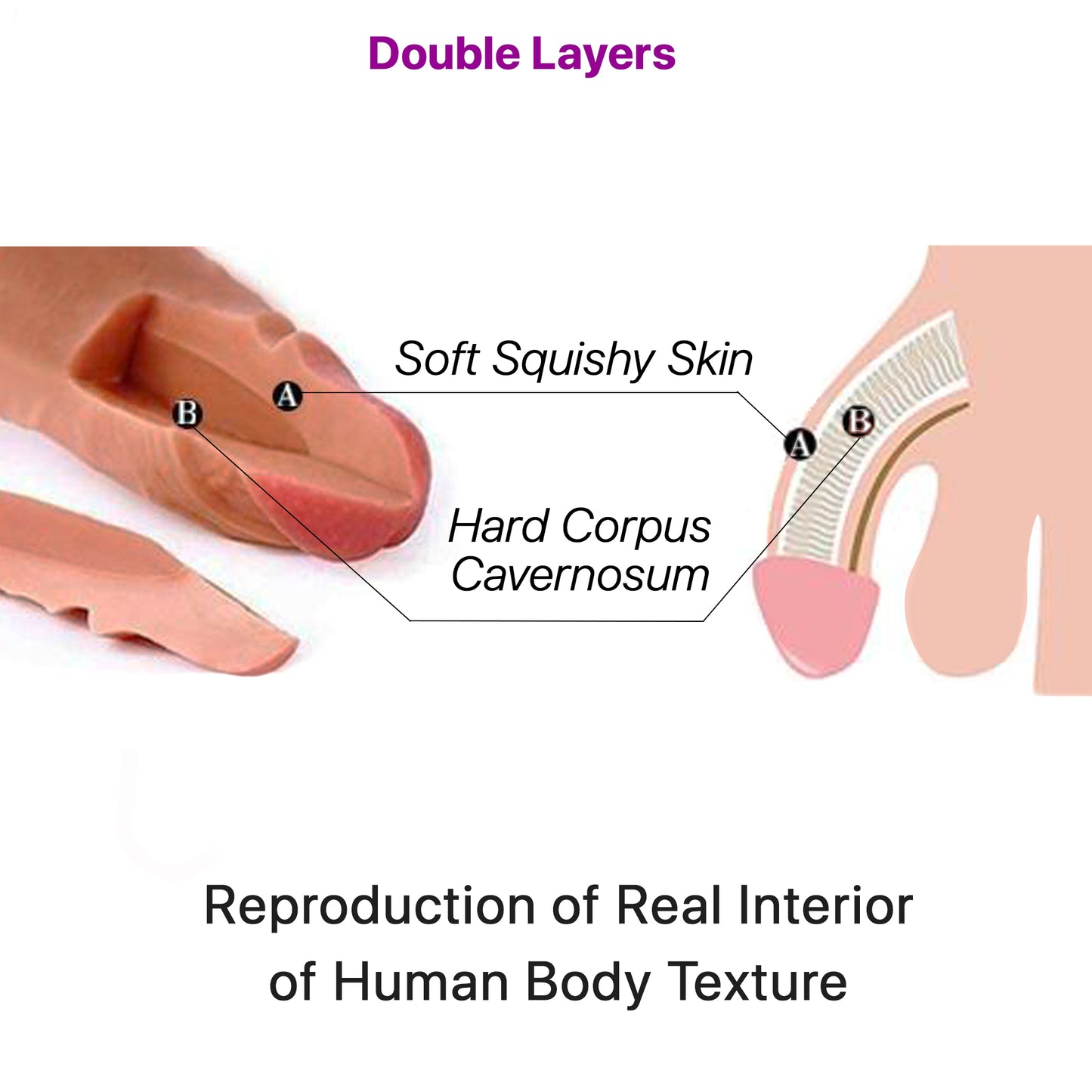 Erotoy Hyper Realistic Dildo Double Layered Premium Lifelike Liquid Silicone Penis Dual Density with Strong Suction Cup